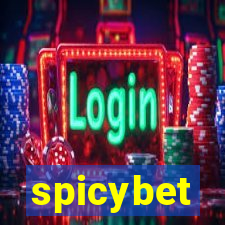 spicybet-4.com