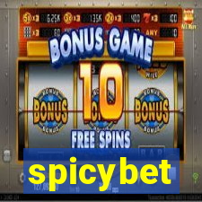 spicybet