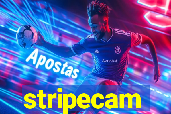 stripecam