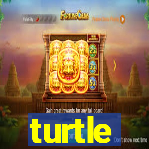 turtle-ty.com