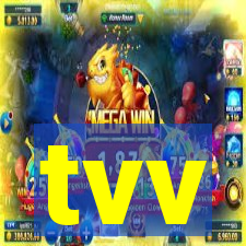 tvv-pg.com