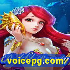 voicepg.com