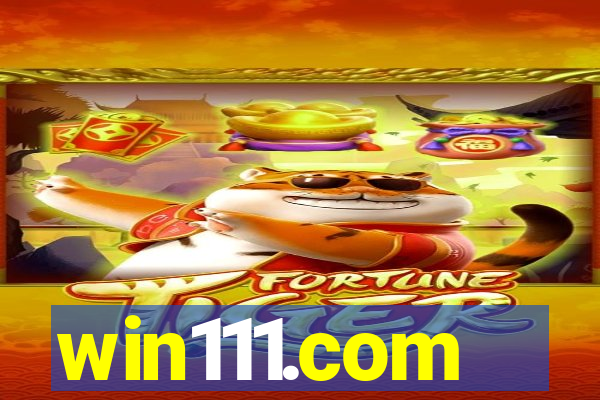 win111.com