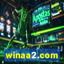 winaa2.com