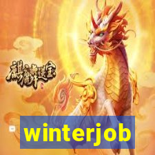 winterjob