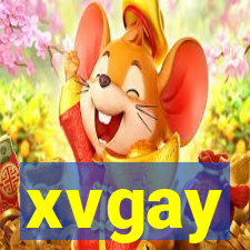 xvgay