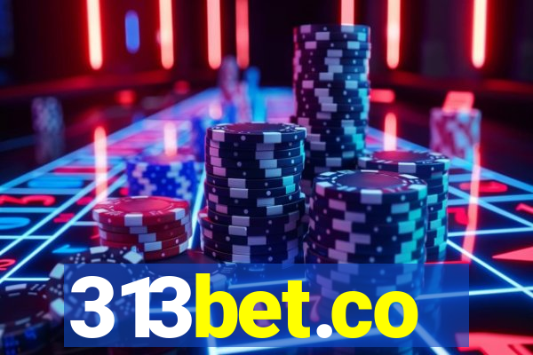 313bet.co