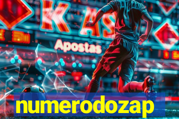 numerodozap